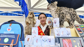 Cultural and creative products fair held in Xizang Museum