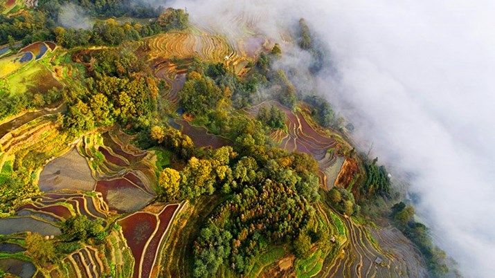 The fairy-tale terraces of Honghe, S Yunnan 