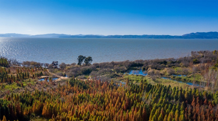 Winter view of Laoyuhe wetland park in Kunming