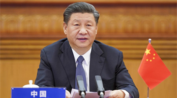Xi calls for all-out global war against COVID-19 at extraordinary G20 summit 