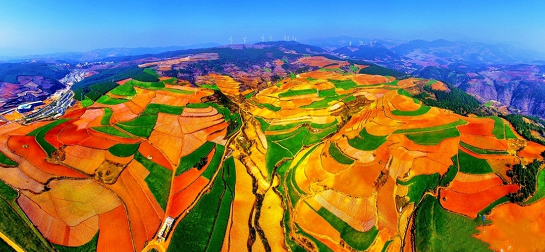 Red-soil land presents dazzling colors in Dongchuan