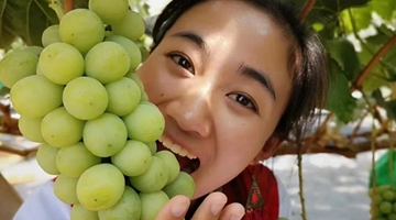 Peeling fruits, Yunnan sales girl makes a hit on Taobao