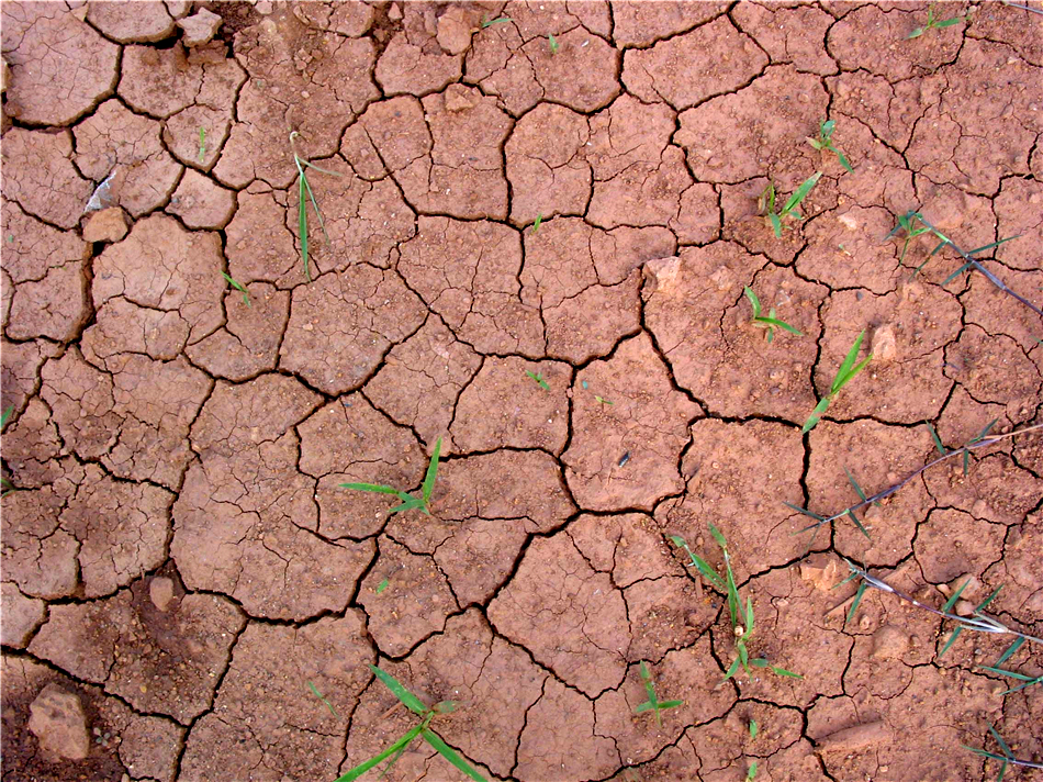 Yunnan sees worst drought in 10 years