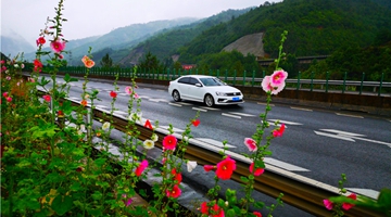 In pics: Kunming-Lijiang expressway decorated by flowers
