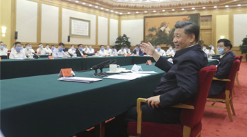 Xi: Leverage huge domestic market