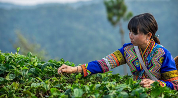 Yunnan province makes headway in poverty alleviation