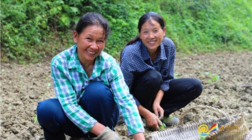 Rural house wives create vegetable brand in Chongqing