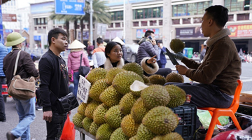 China-ASEAN trade maintains robust growth amid COVID-19 pandemic