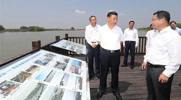 Xi inspects ecological park, steel firm in Anhui 