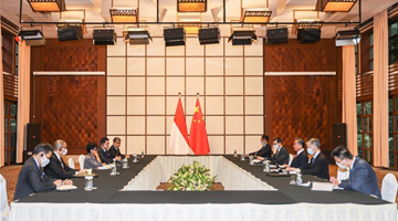 China, Indonesia formally launch fast-lane arrangement 