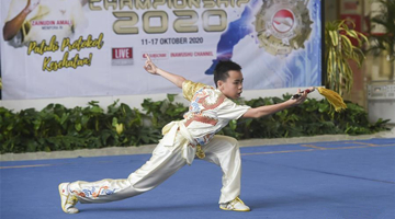 Virtual Wushu Championship held amid COVID-19 pandemic in Indonesia