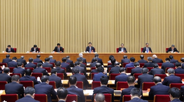 Xi urges efforts on rural vitalization