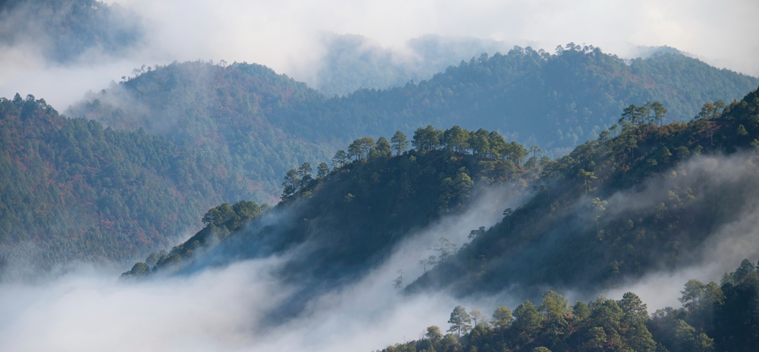 Dreamy fog scenes seen in Mt. Bozhu, east Yunnan