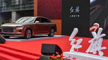 China's luxury cars see sales surge in 2020