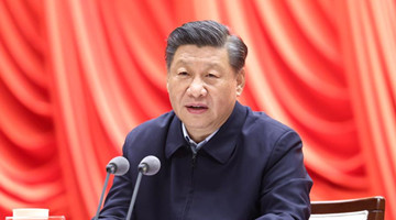 Xi urges young officials to carry on Party's glorious traditions, fine conduct