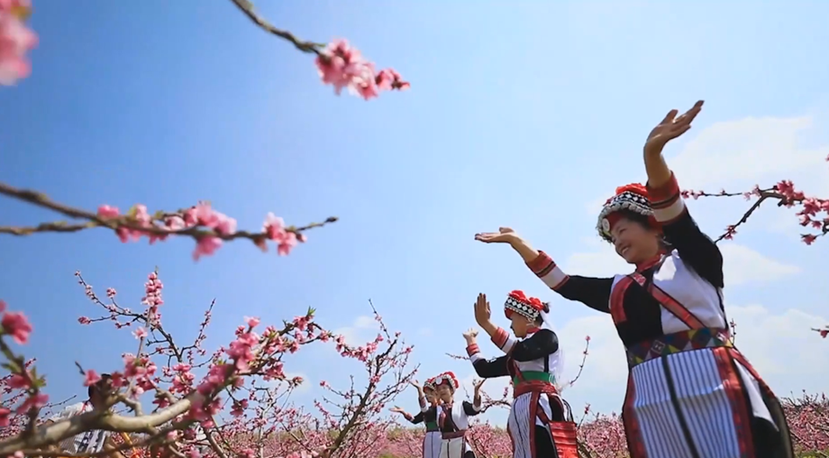 Yi folks of Mile dance in peach blossoms