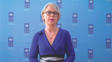 UN official: Flexibility to help nation reach carbon targets