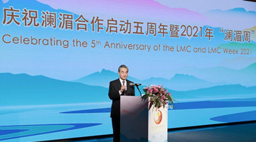 China to promote LMC with Mekong countries: Chinese FM