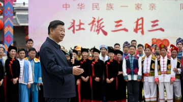 Xi stresses advancing high-quality development in border ethnic regions