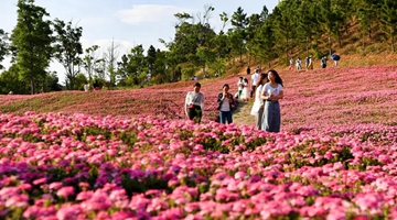 Yunnan welcomes 17.83 million visitors during holiday