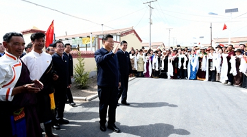 President urges Qinghai specialty industry growth