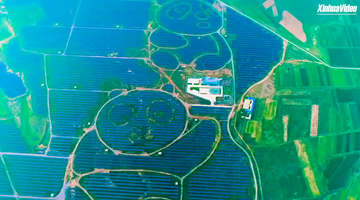 Panda-shaped solar power station leads China's 