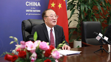 Kunming, Beijing meetings set new directions for world