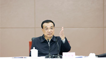Chinese premier urges efforts to foster, strengthen market entities