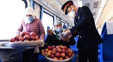 Apple train brings prosperity to Yunnan farmers