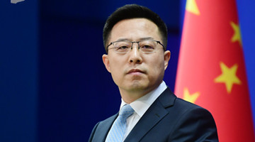 Attempt to undermine HK prosperity, stability will fail: FM spokesperson