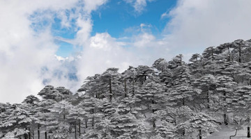 Stunning snow sights across Yunnan