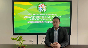 RCEP to bring opportunity to durian trade: Malaysian businessman