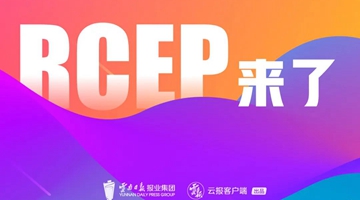 Int’l traders discuss RCEP’s coming into effect