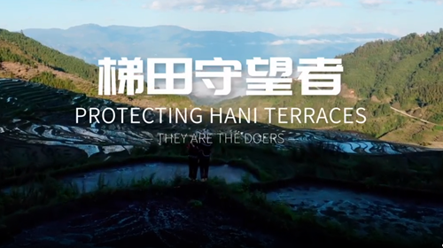 UNFAO rolls out documentary for Hani terraces