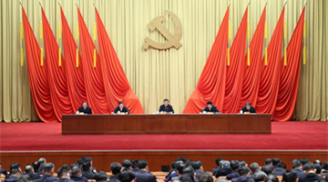 Xi tells young officials to have strong faith, work hard