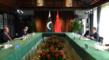 Chinese, Pakistani FMs discuss bilateral ties, Ukraine