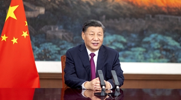 Xi urges global governance reforms