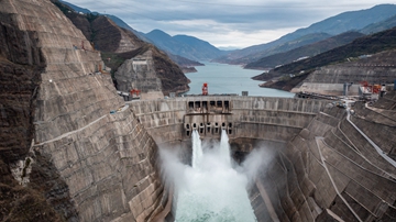 All power units constructed at major hydropower station in Yunnan